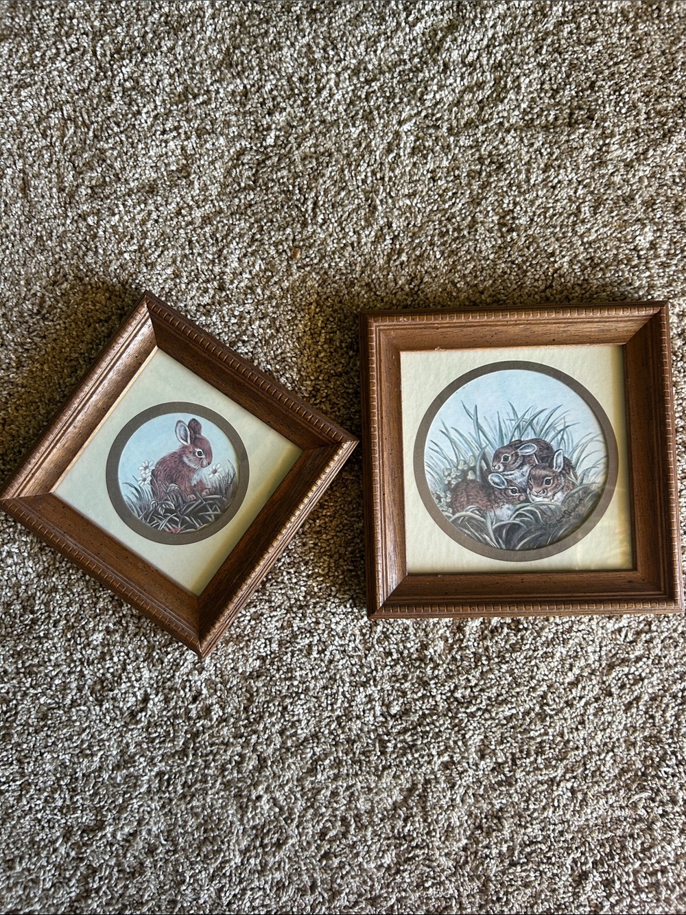 Vintage woodland bunny prints wood frame